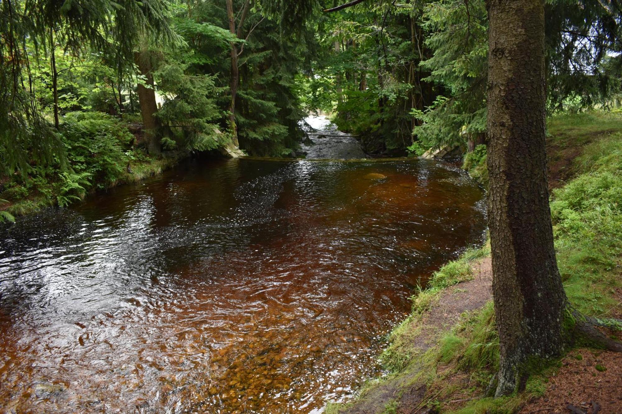Apartmán Danuška Harrachov Kültér fotó